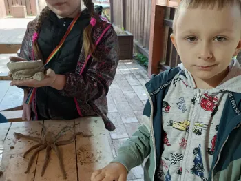 26