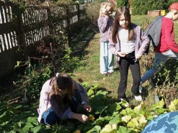 1fbd2eb8-6d68-477f-8778-7d2098f711b3