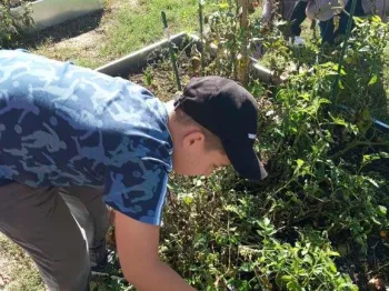 76e1a642-6268-42c4-b26e-2277bbbda601