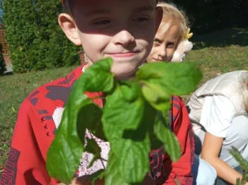 63b97721-b63b-4d74-9d0e-d0c7cb38974f