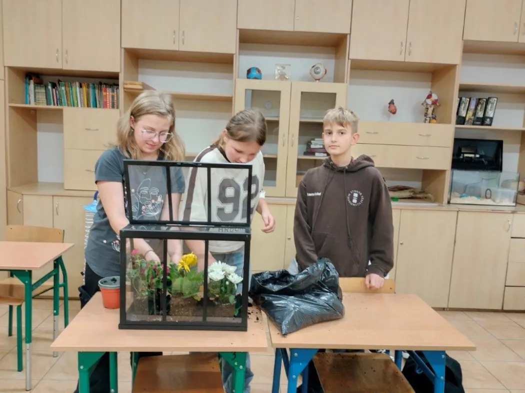 Szóstka na szóstkę - jesienią