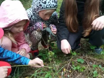 d2a817f1-7c56-431e-baca-2bd0a3e08539