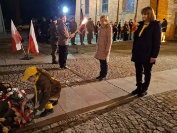 11343bb9-2d27-4079-8d66-527dea5f0aa2