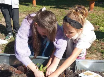 3e5268fd-55af-4bf2-ad05-2fb6085ce9d6