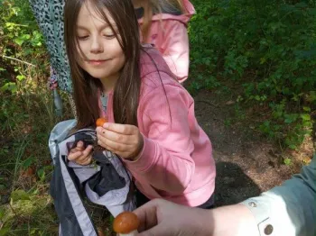 479f1e6f-2018-4d73-b2ee-ef65b852ecaf