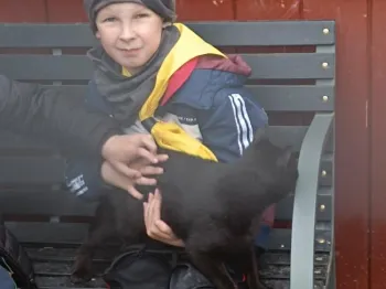 17