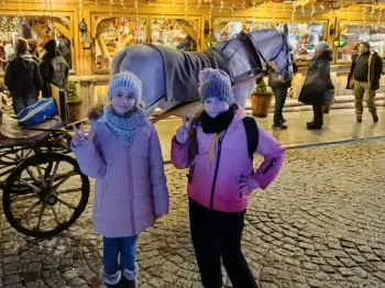 ecb647fa-d12a-44e2-9acf-fbf6274310e4