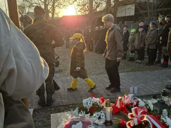 72d35772-9869-448b-9400-835b56194a54