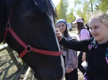 il20260418_962927057_xlarge