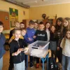 Spotkanie z wężem zbożowym