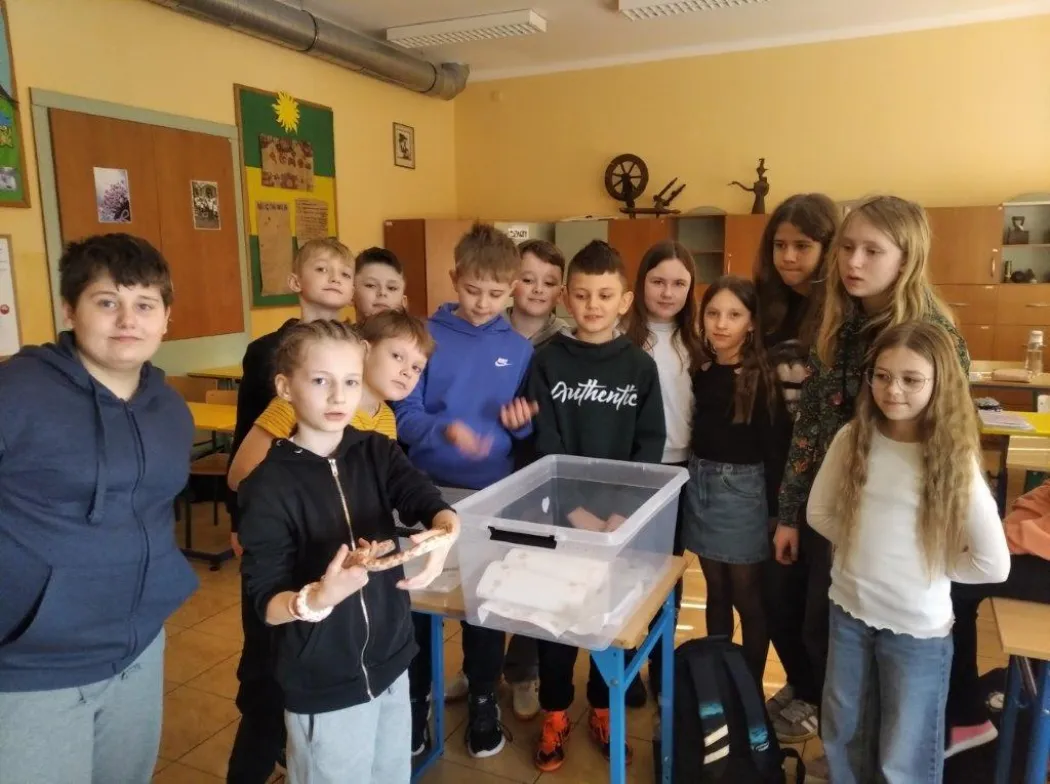 Spotkanie z wężem zbożowym