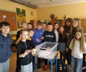 Spotkanie z wężem zbożowym