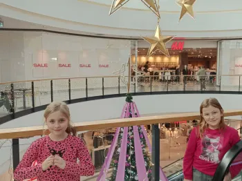 50e90d80-d4fb-4c37-b572-6c7a91b85e5c