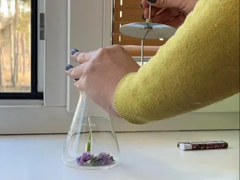 messenger_creation_26dee1cd-3016-4c6f-bb92-8eedcafb0402